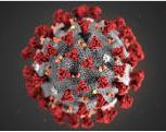 Observations du GRILA sur la pandmie du Coronavirus LA CONDITION DU CONTINENT ET UNE RIPOSTE PANAFRICAINE